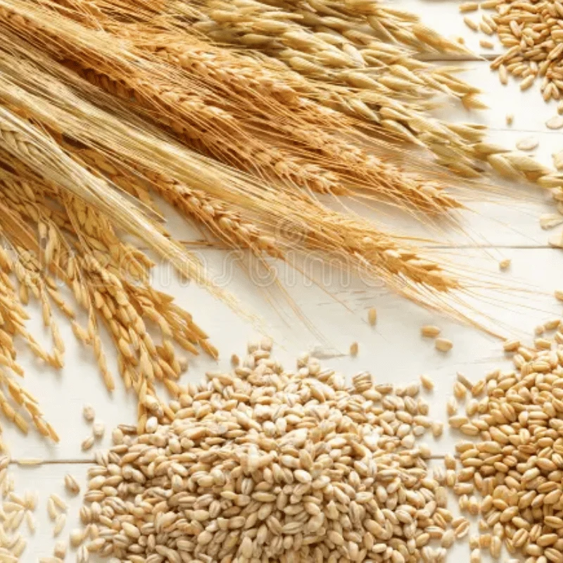 Grains & Cereals